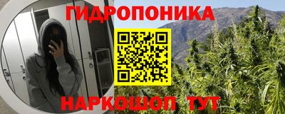 a pvp Жуковский